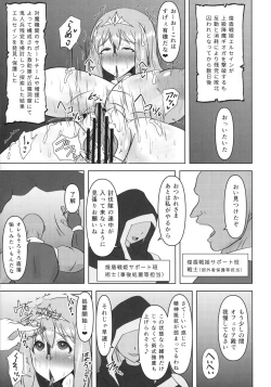 Page 4 of Raygis Valicess Elsain "Haimesu Shoukougun"