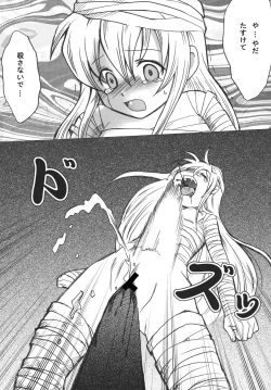 Page 24 of Tsurupeta Kenkyuu Houkokusho "Tsurupeta Kyoudan no Yabou " - Turupeta Recearch Report