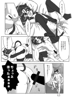 Page 36 of Tsurupeta Kenkyuu Houkokusho "Kessen Zenya" - Turupeta Research Report