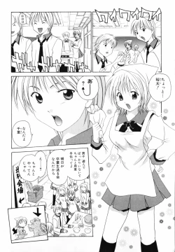 Page 5 of Hoshikuzu Sakura | STAR DUST CHERRY TREE.