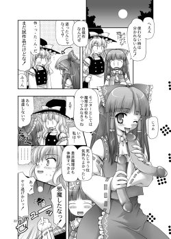 Page 22 of Touhou Reishisou