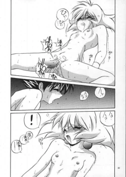 Page 29 of VS Kishi no Honoo no Challenger