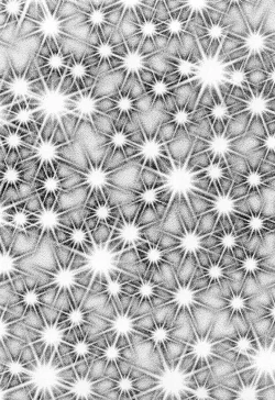 Page 4 of Madonna Party