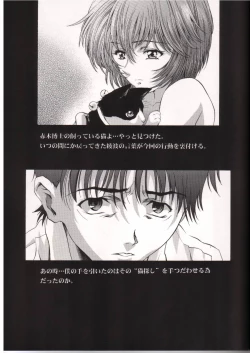 Page 20 of AYANAMI SUMMIT