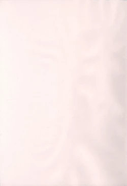 Page 2 of Wonderful! 1