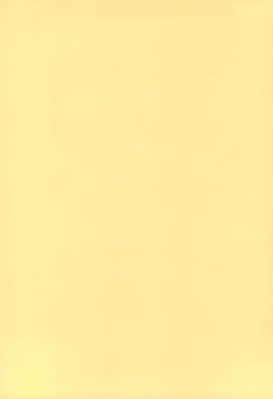 Page 2 of DID Azusa 2