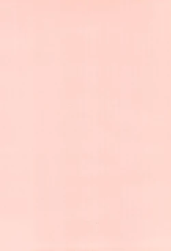 Page 4 of DID Azusa 2