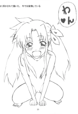 Page 20 of FORTISSIMO