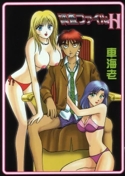 Page 4 of Chousa File H - Investigation File