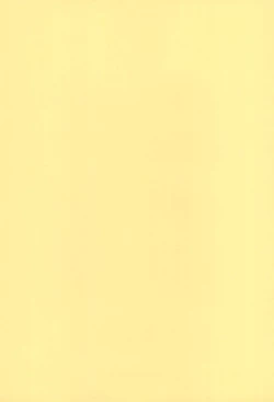 Page 3 of NiSeMoNo 6