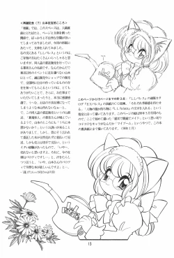 Page 13 of Meishou Misettei