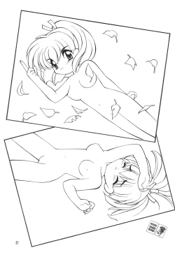 Page 21 of Meishou Misettei