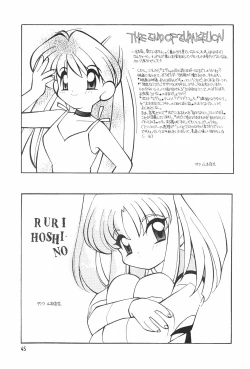 Page 45 of Meishou Misettei