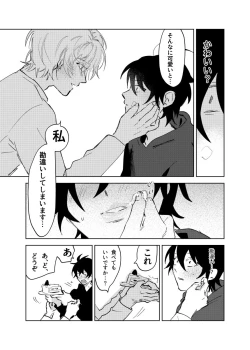 Page 19 of Kajidaikou no Pabumiseme