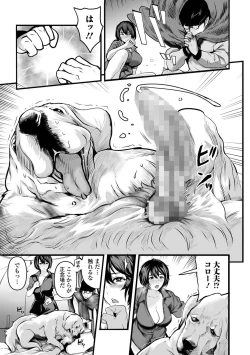 Page 241 of COMIC Mate Legend Vol. 45 2022-06