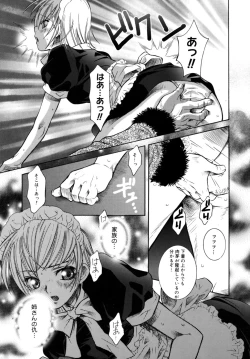 Page 45 of Utopia Of Wonder Film