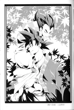 Page 4 of Vegegitsune