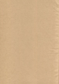 Page 2 of Are the rumors true that the Bass Vocals and Drums of that Popular Band are Futanari!?