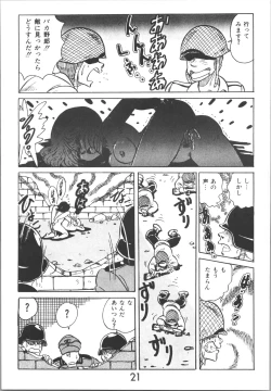 Page 21 of Sieg Heil 2