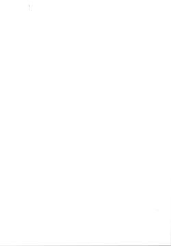 Page 2 of Sieg Heil 2