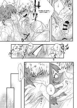 Page 13 of Boku no Hero Academia Funbook 01