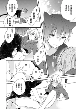 Page 29 of Hirotta Neko wa Nikushoku Deshita | 捡来的猫咪是肉食性 Vol. 2