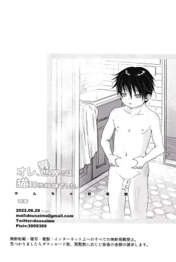 Page 29 of Ore, Isekai de wa Nekomimi Seidorei Deshita.