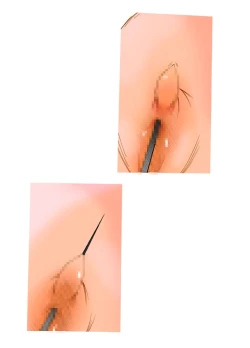 Page 33 of S-DOG Choubatsu Hari no Batsu