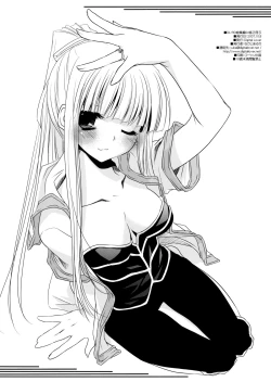 Page 246 of DL-RO Perfect Collection No.04