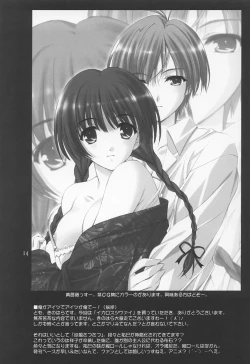 Page 13 of ICAROSS ZWEI