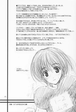 Page 17 of ICAROSS ZWEI