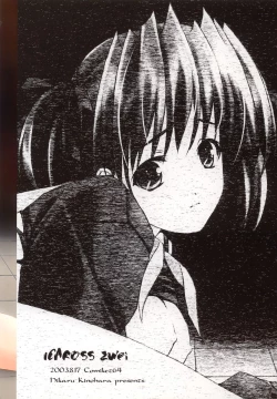 Page 18 of ICAROSS ZWEI