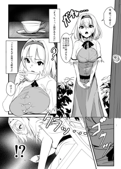 Page 4 of Kirisame Marisa ga Kusuri o Tsukatte Okashitari Okasaretari Suru Hon
