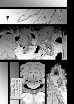 Page 10 of 幻想妖媚録 オーク