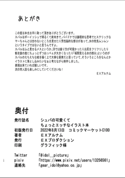 Page 13 of Scuba no Kawaikute Chotto Ecchi na Illust Bon