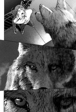 Page 108 of Coyote II