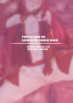 Page 46 of Yousei Kishi Tristan ni Ijiwaru Suru Hon