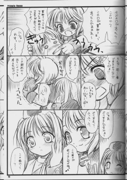 Page 14 of PRIMULA Rosea