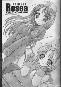 Page 4 of PRIMULA Rosea