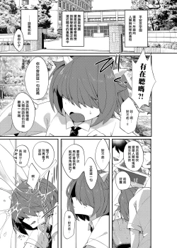 Page 3 of 愛玩プレッジ | 宠物pledge