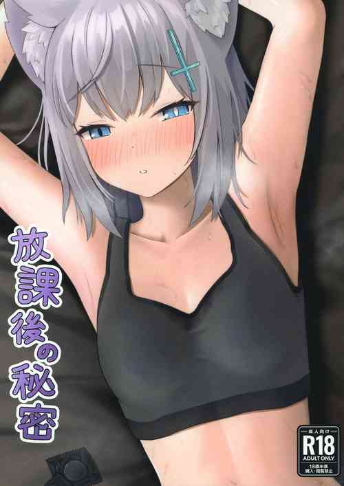 Download Houkago no Himitsu