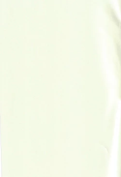 Page 3 of ネオテニー