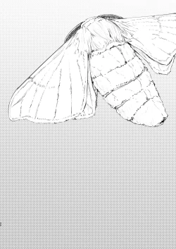 Page 41 of Shiragasane Soushuuhen