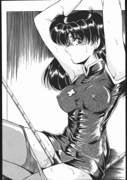 Page 271 of KATZE 13