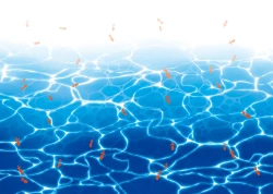 Page 2 of Nagori Natsu