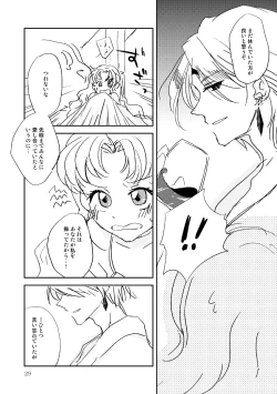 Page 28 of (Bon][Marionette′s Rhapsody(Bishoujo Senshi Sailor Moon)