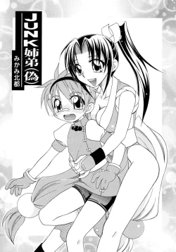 Page 29 of Shin Shota Naburi Series - Yamete! Oneechan