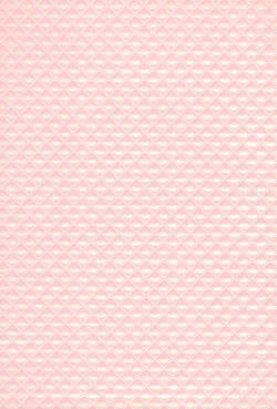 Page 3 of Youkoso! Suteki na Machi Elmore e