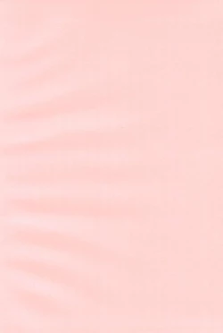 Page 4 of Nurunuru Shokushu Making