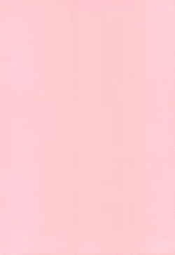 Page 2 of Chibi Hame